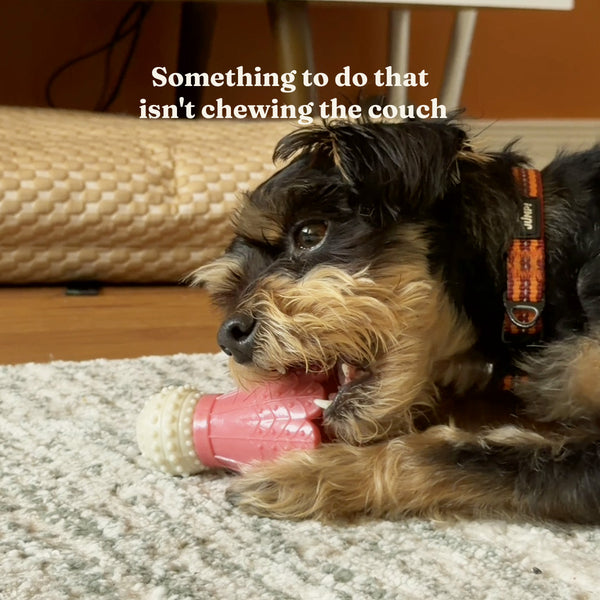 The Busy Chew
